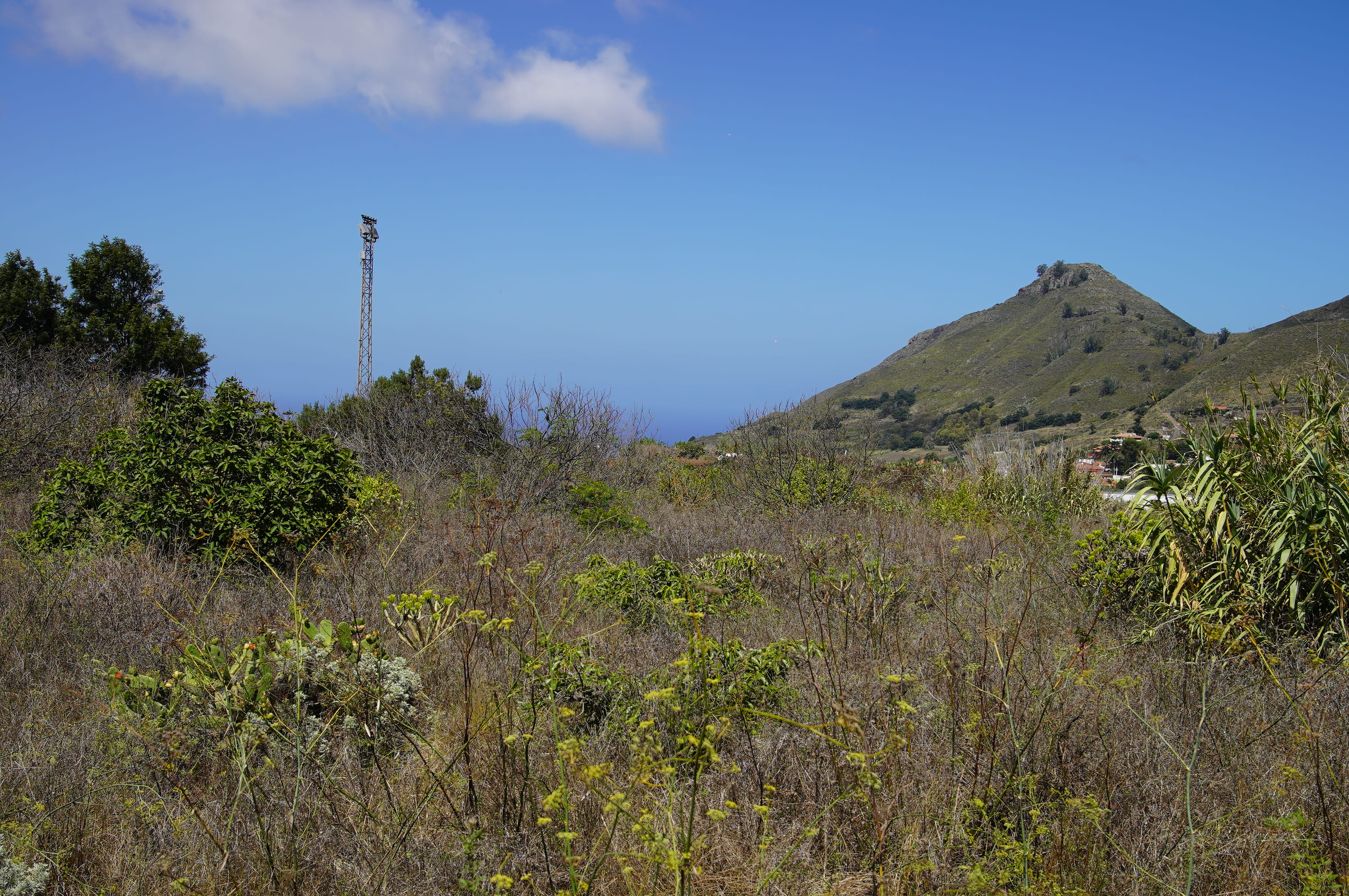 Reserva de la Biosfera Macizo de Anaga Foto Ayuntamiento de Tegueste