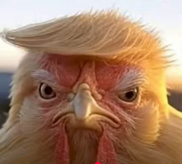 TRUMP