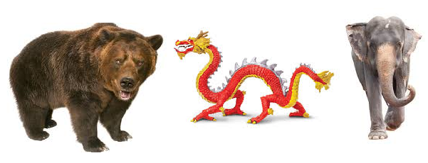 OSO DRAGÓN ELEFANTE