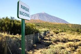 PARQUE NACIONAL TEIDE