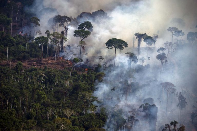 BOSQUES AMAZÓNICOS DEGRADADOS, ECOPORTAL Foto Maro Pimentel / AFP