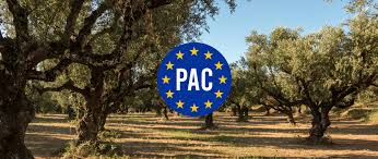PAC