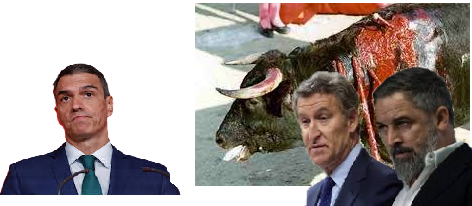 PP Y VOX APOYAN LA TORTURA A LOS TOROS, Y EL PSOE MIRA PARA OTRO LADO