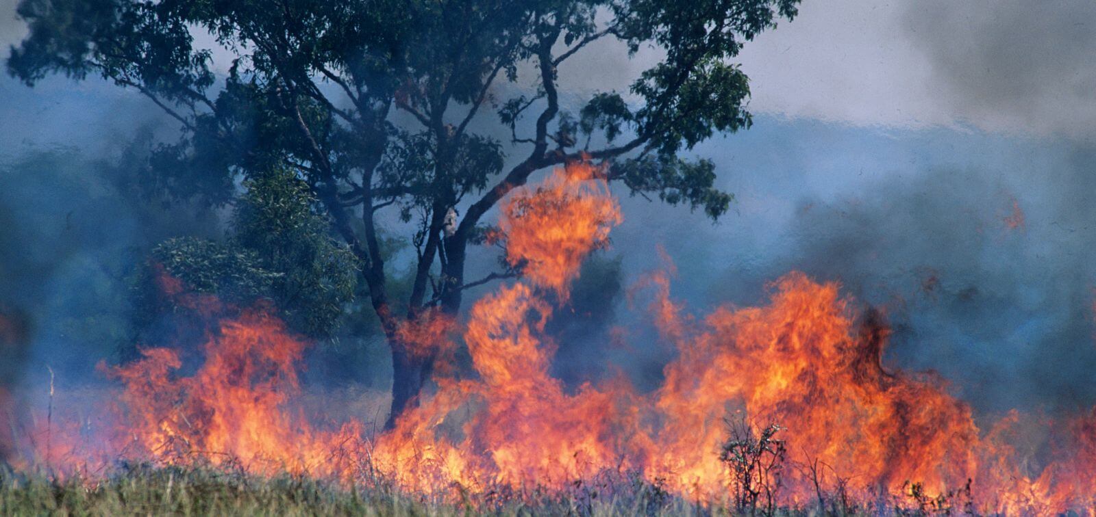 El humo de los incendios forestales a la base de graves problemas respiratorios, como lo prueba un estudio realizado en Mozambique. Foto ISGlobal de Barcelona