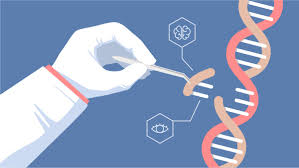 CRISPR - SCIENTIFIC AMERICAN