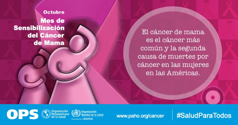 Si bien la prevención del cáncer de mama juega un papel fundamental, los medicamentos para esa enfermedad siguen concentrados en unas pocas multinacionales farmaceúticas