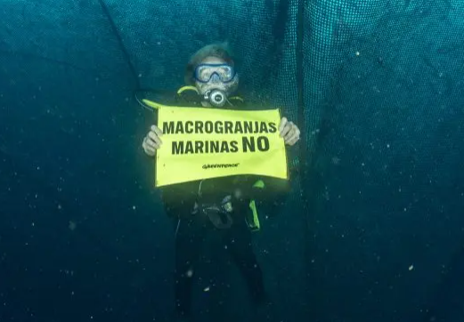 PISCIFACTORIAS GREENPEACE