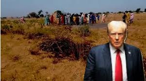 TRUMP NIGERIA