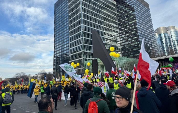 Manifestantes en Bruselas
