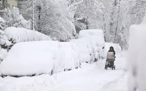 NIEVE ALEMANA