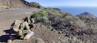 MANIOBRAS MILITARES EN EL HIERRO
