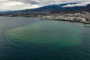 PLAYA CONTAMINADA ARONA