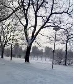 ALEMANIA bajo nieve