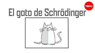 GATO DE SCHRÖDINGER