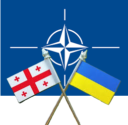 UCRANIA GEORGIA otan