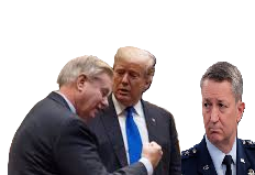 GRAHAM TRUMP CANE