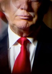 retrato incompleto de Trump