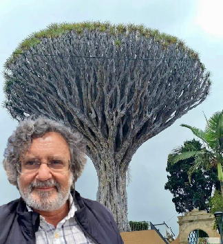 JAVIER MARRERO