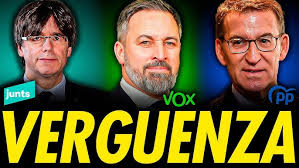 JUNTS PP VOX