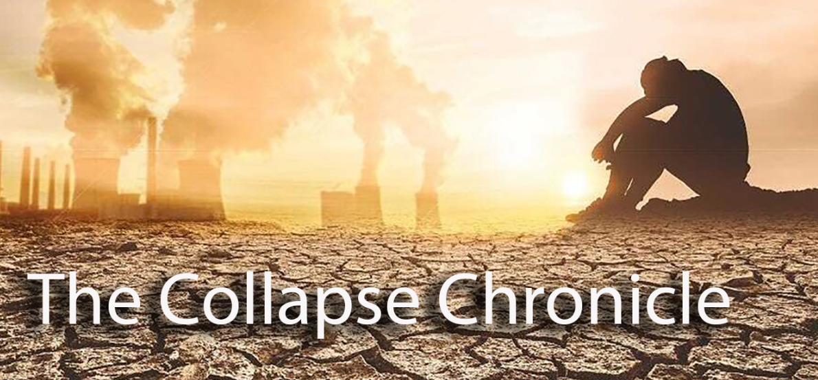 CRÓNICA DEL COLAPSO