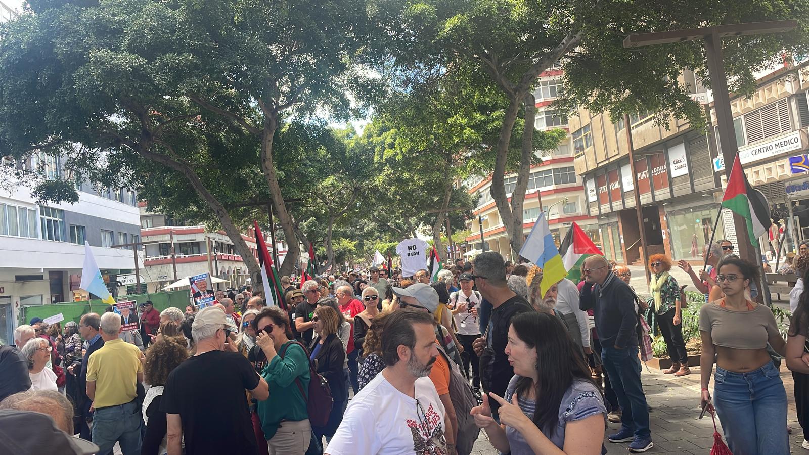CANARIAS PAZ LPGC MARZO 2026