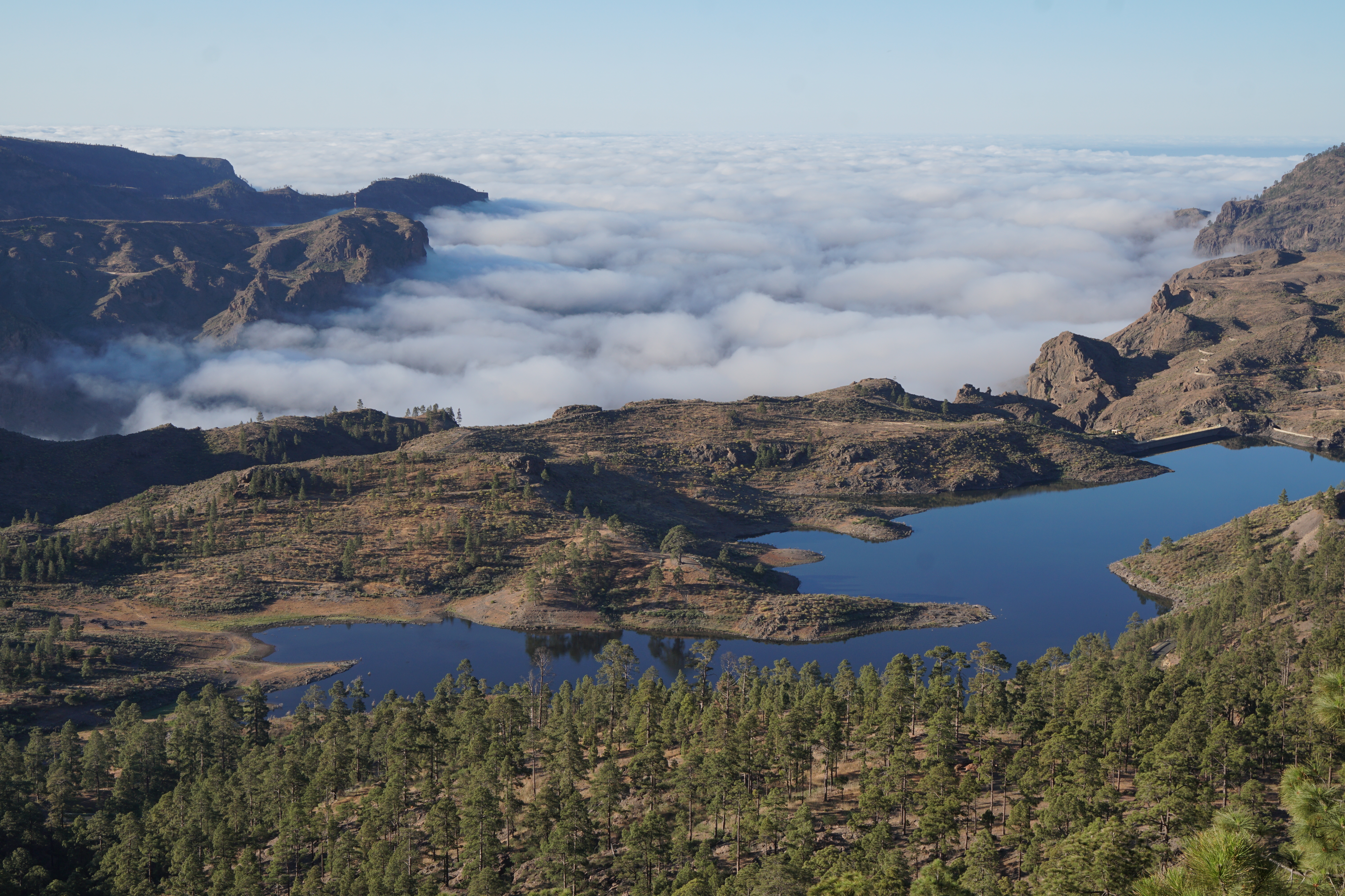 La Presa de las Niñas y mar de nubes sobre el curso Alto de Arguineguín.  Este ecosistema extraordinario será entregado a REE por el Cabildo de GC para ampliar la Central de Chira Soria, lo que significa la destrucción de este principal humedal del SW de Gran Canaria
