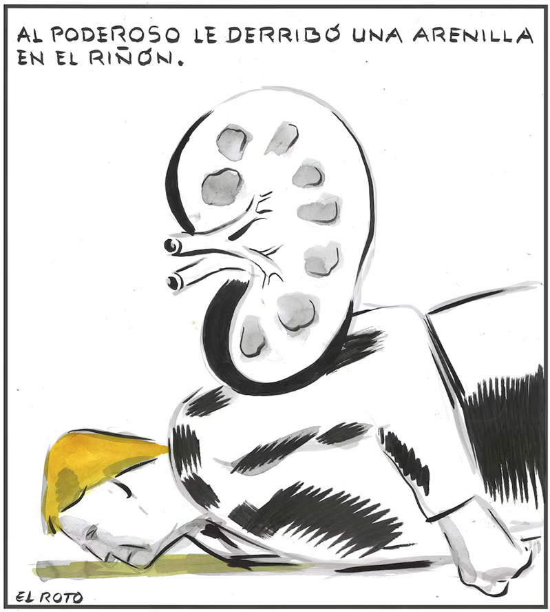 EL ROTO TRUMP