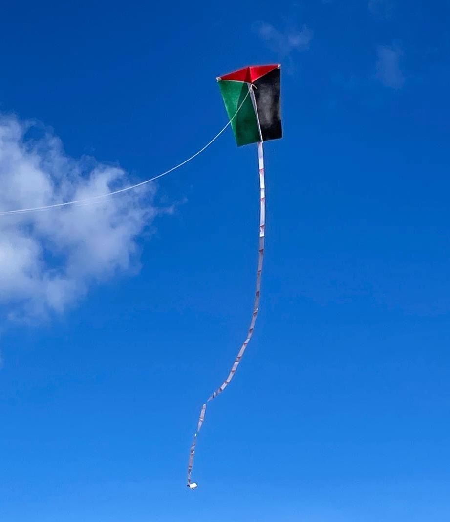 COMETAS POR PALESTINA