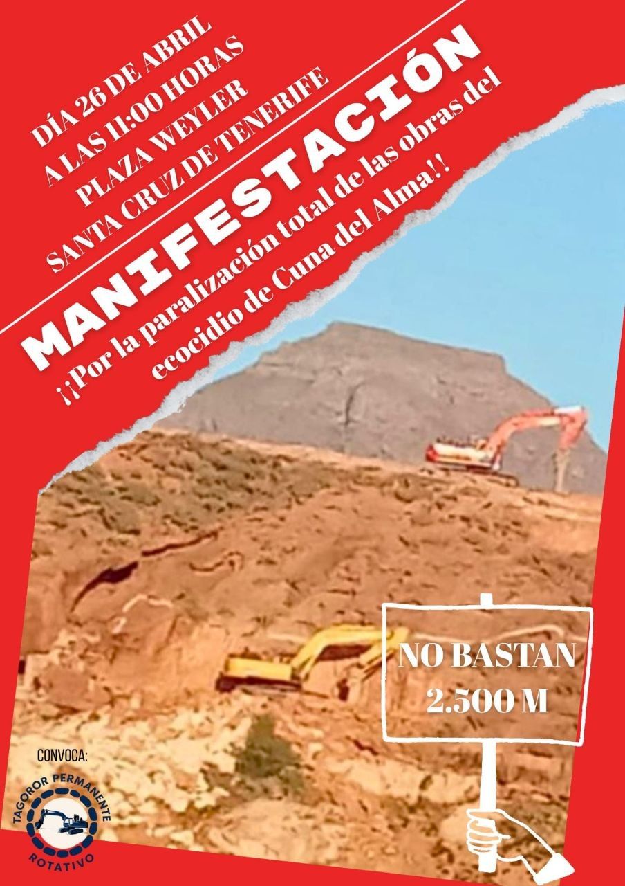 cartel manifestacion 26A
