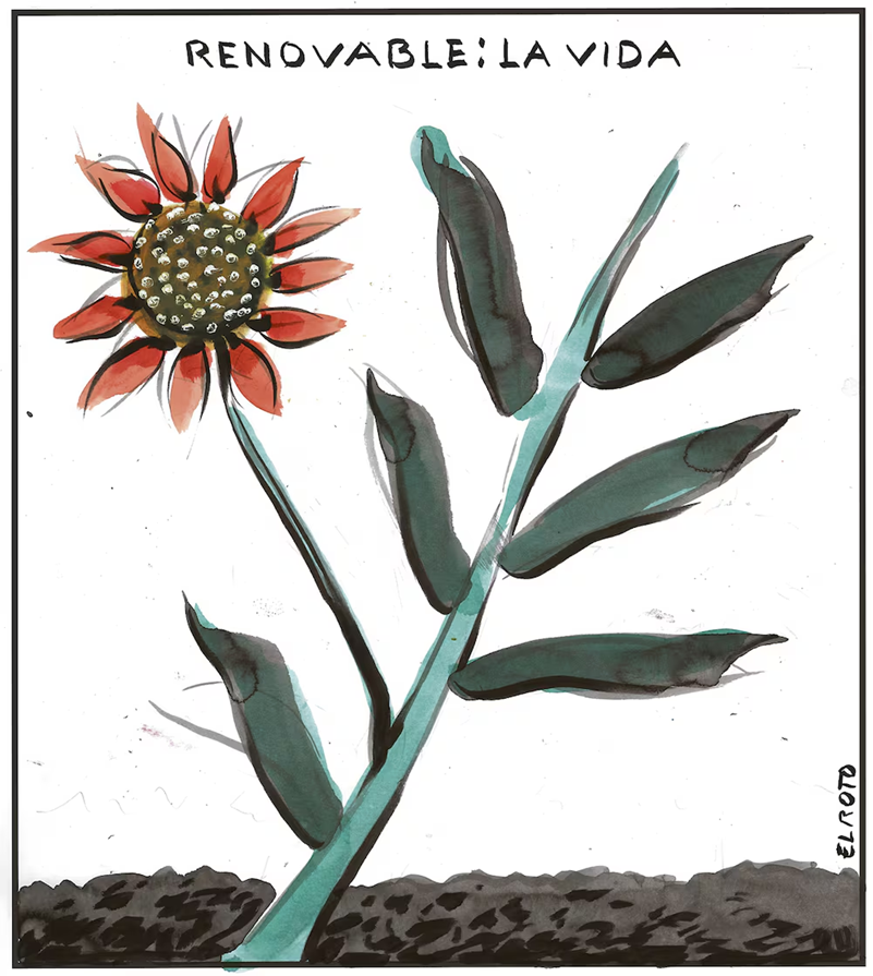 EL ROTO