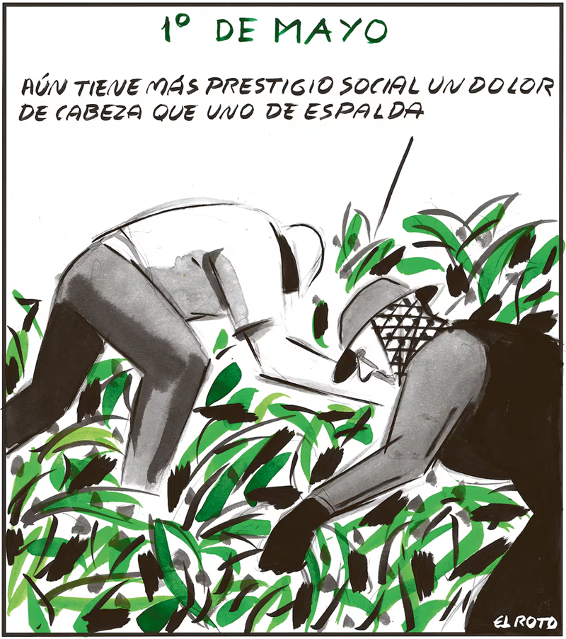 EL ROTO