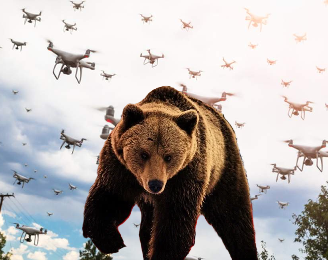 DRONES