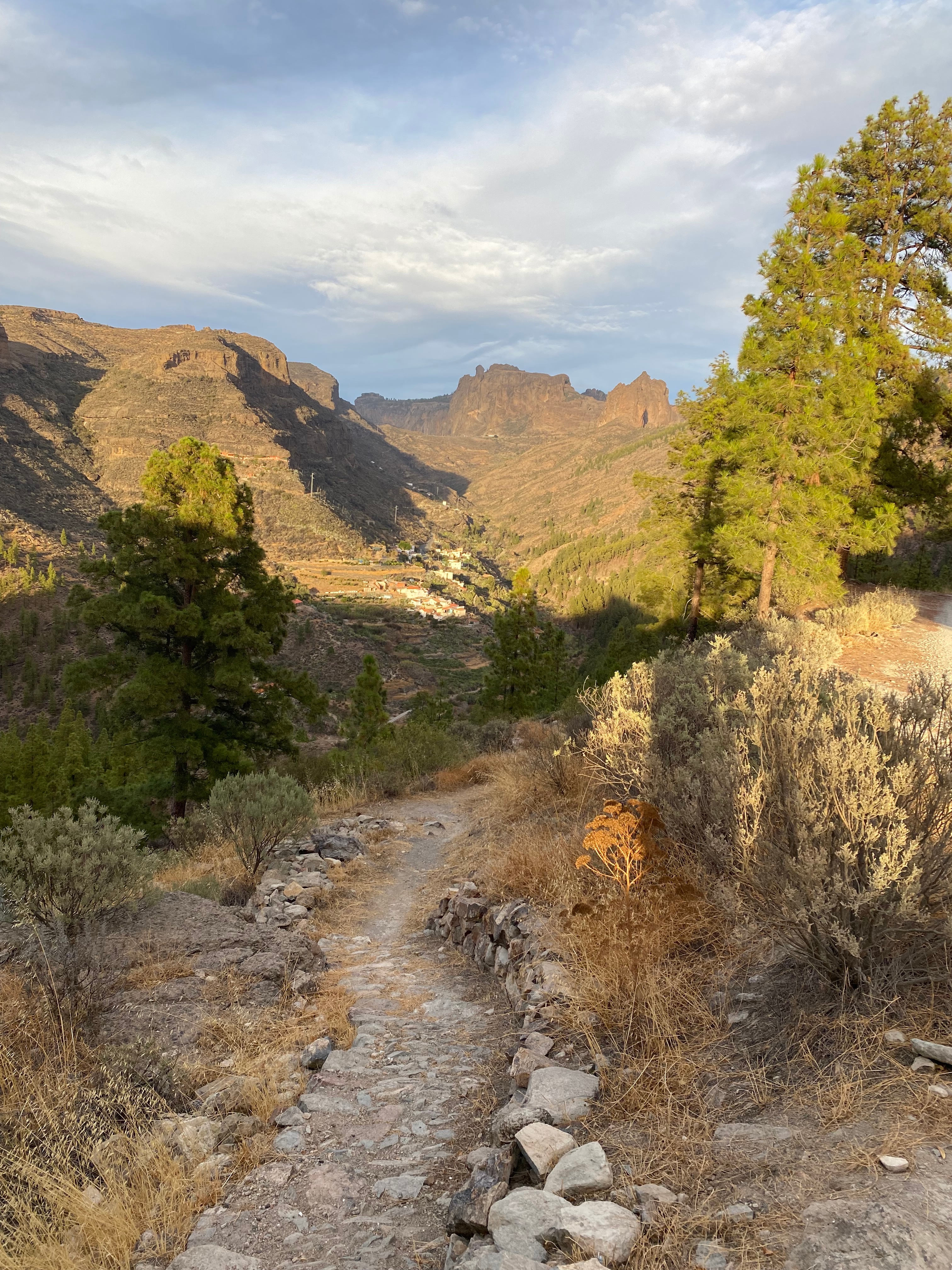 Camino de La Ruda. Pajonales - Juncal de Tejeda. Sitio Patrimonio de la Humanidad
