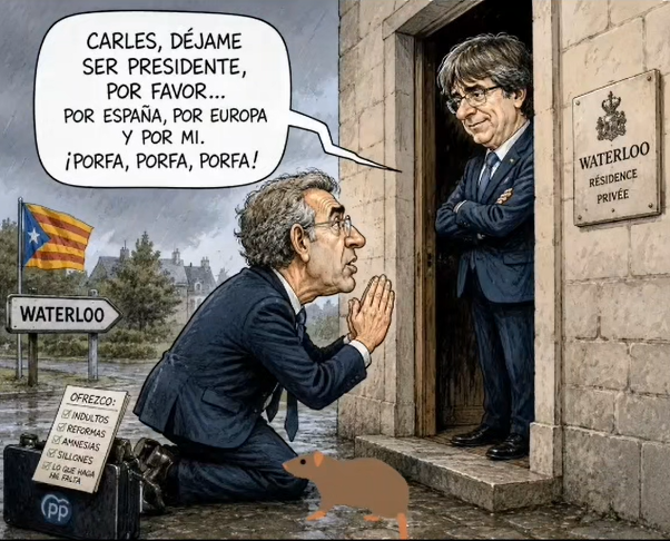 FEIJOO PUIGDEMONT